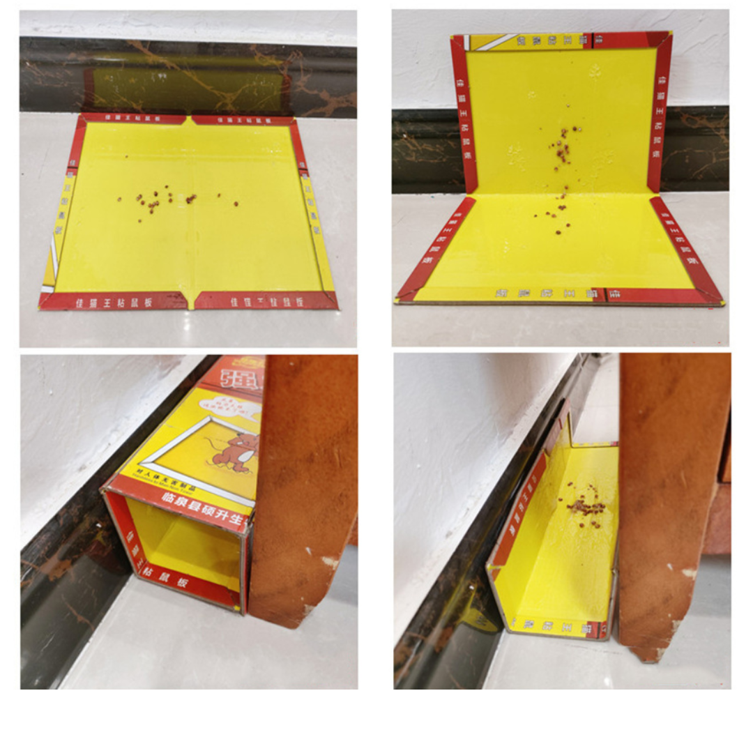 Armadilha adesiva extra forte – captura ratos rapidamente