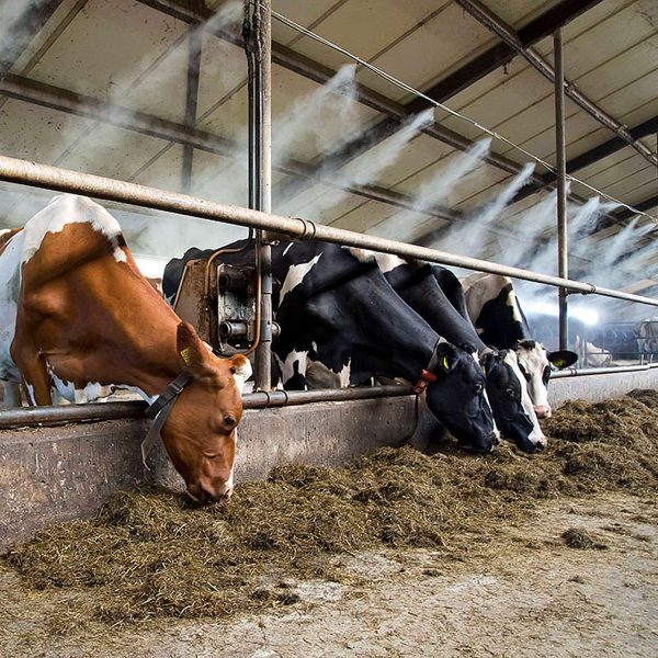 Mangueira de Irrigação para Jardim 15m com Bicos de Névoa