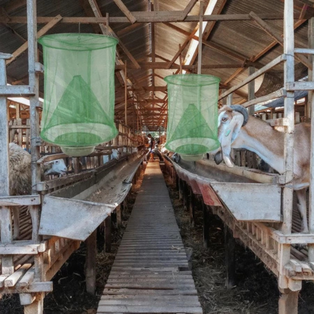 Armadilha Multiusos Reutilizável - Sem Produtos Químicos