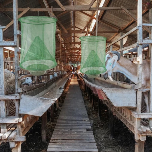 Armadilha Multiusos Reutilizável - Sem Produtos Químicos