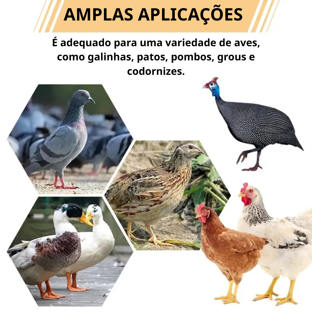 Porta de Alimentação Automática para Galinhas e Patos