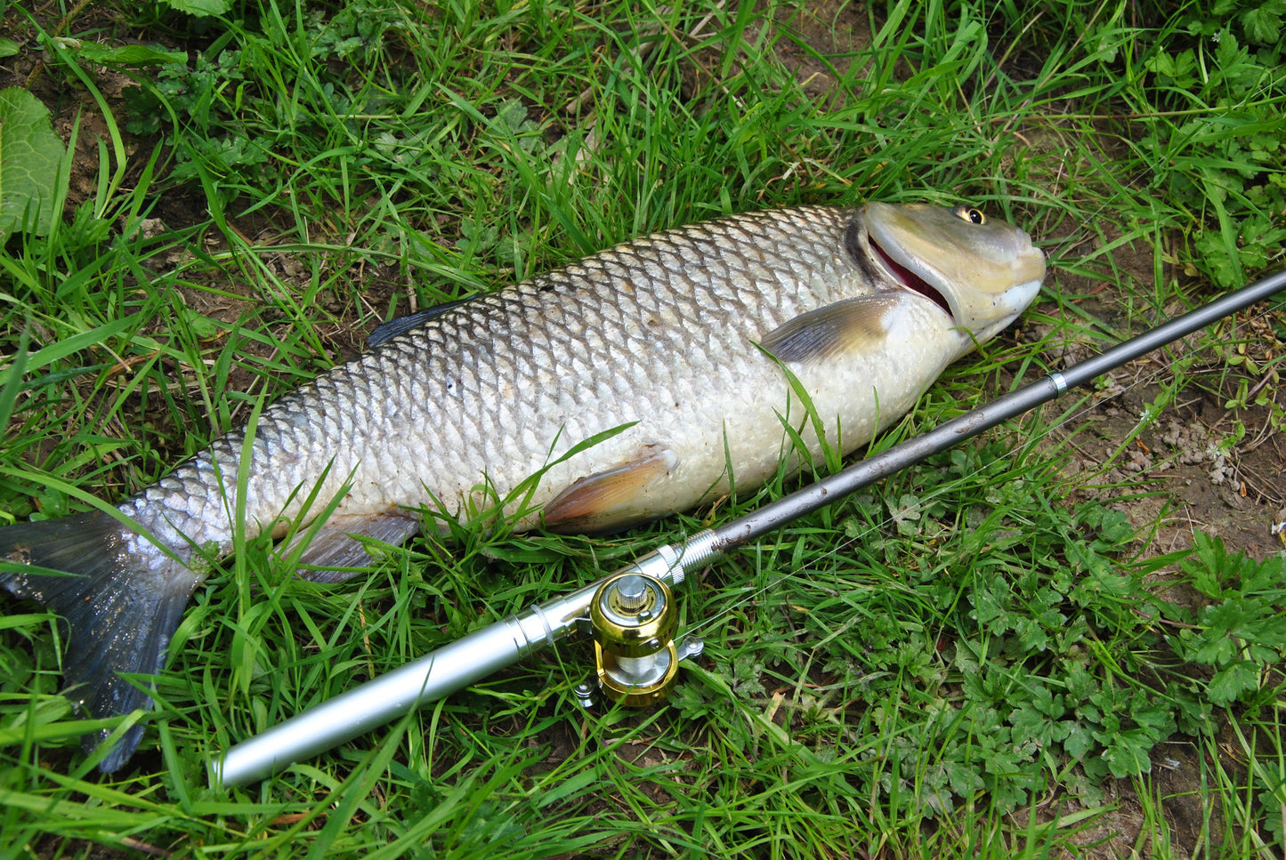 Conjunto de Vara de Pesca Mini Telescópica com Carretilha